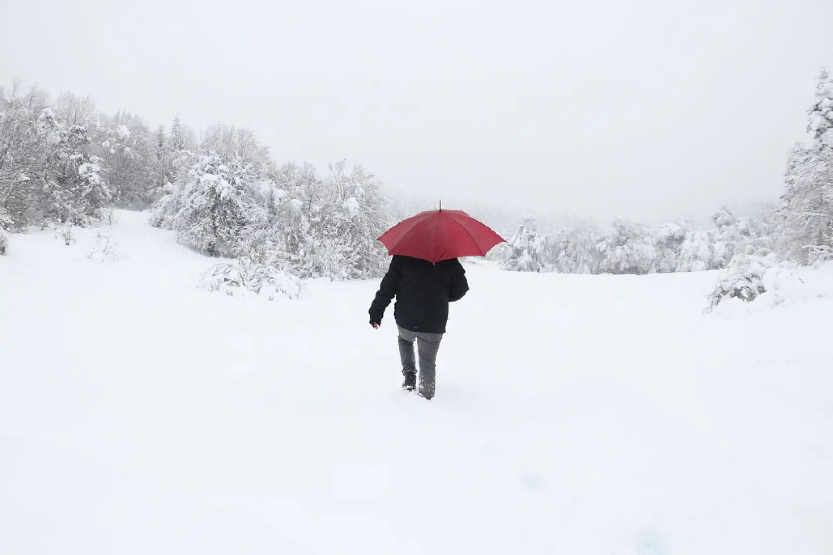 Kar yağışıyla ormanlar beyaz örtüyle kaplandı