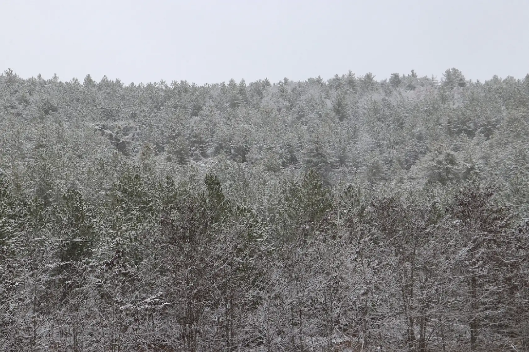 Kar yağışı etkisini artırdı