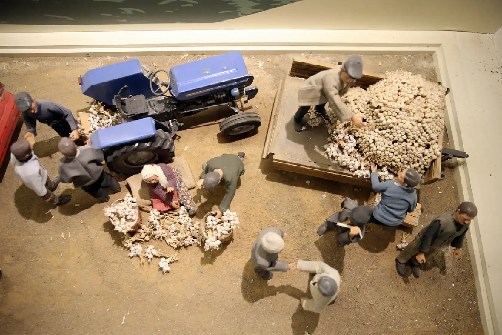 Sarımsak serüveni anlatılıyor