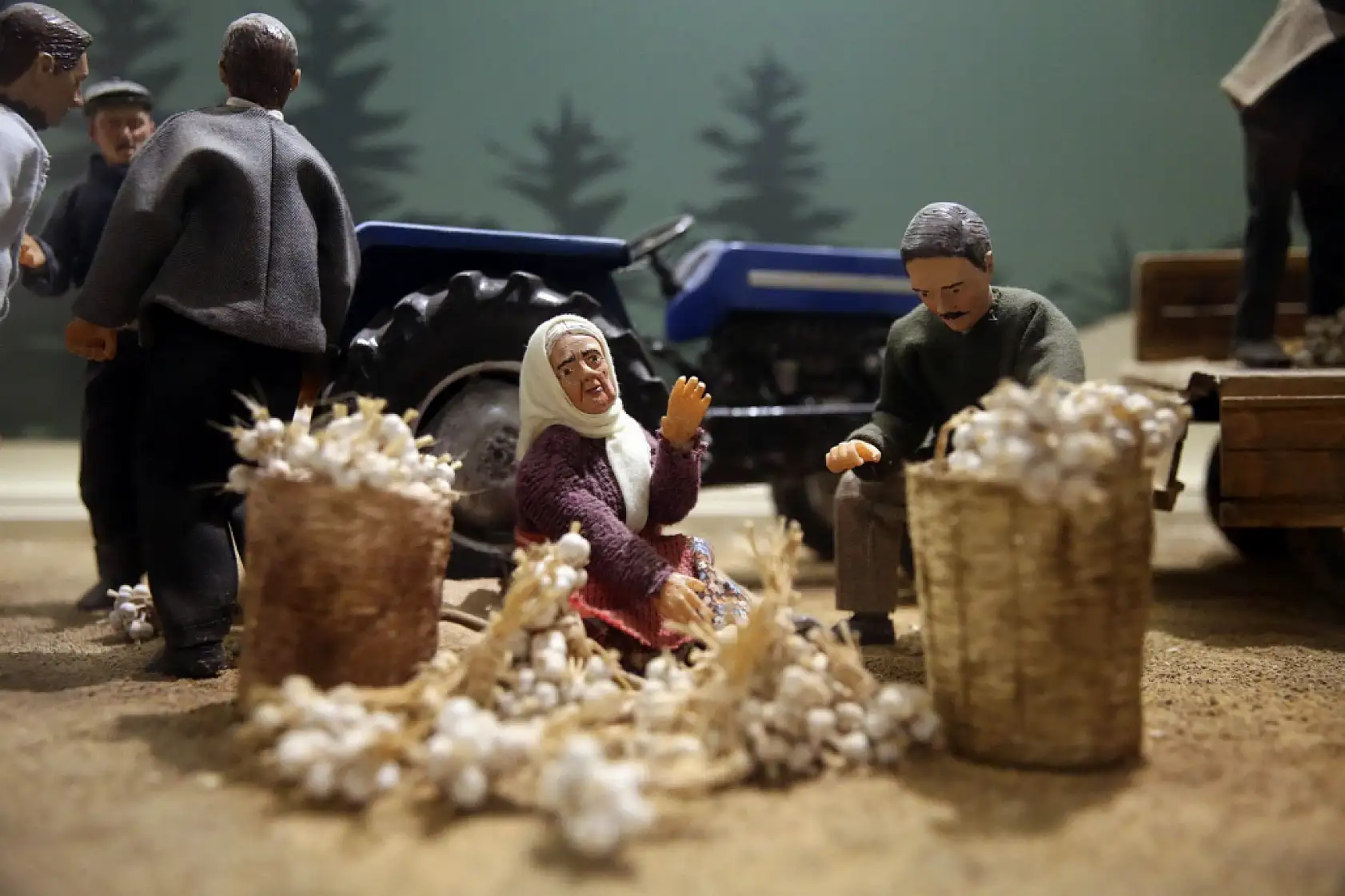 Sarımsak serüveni anlatılıyor