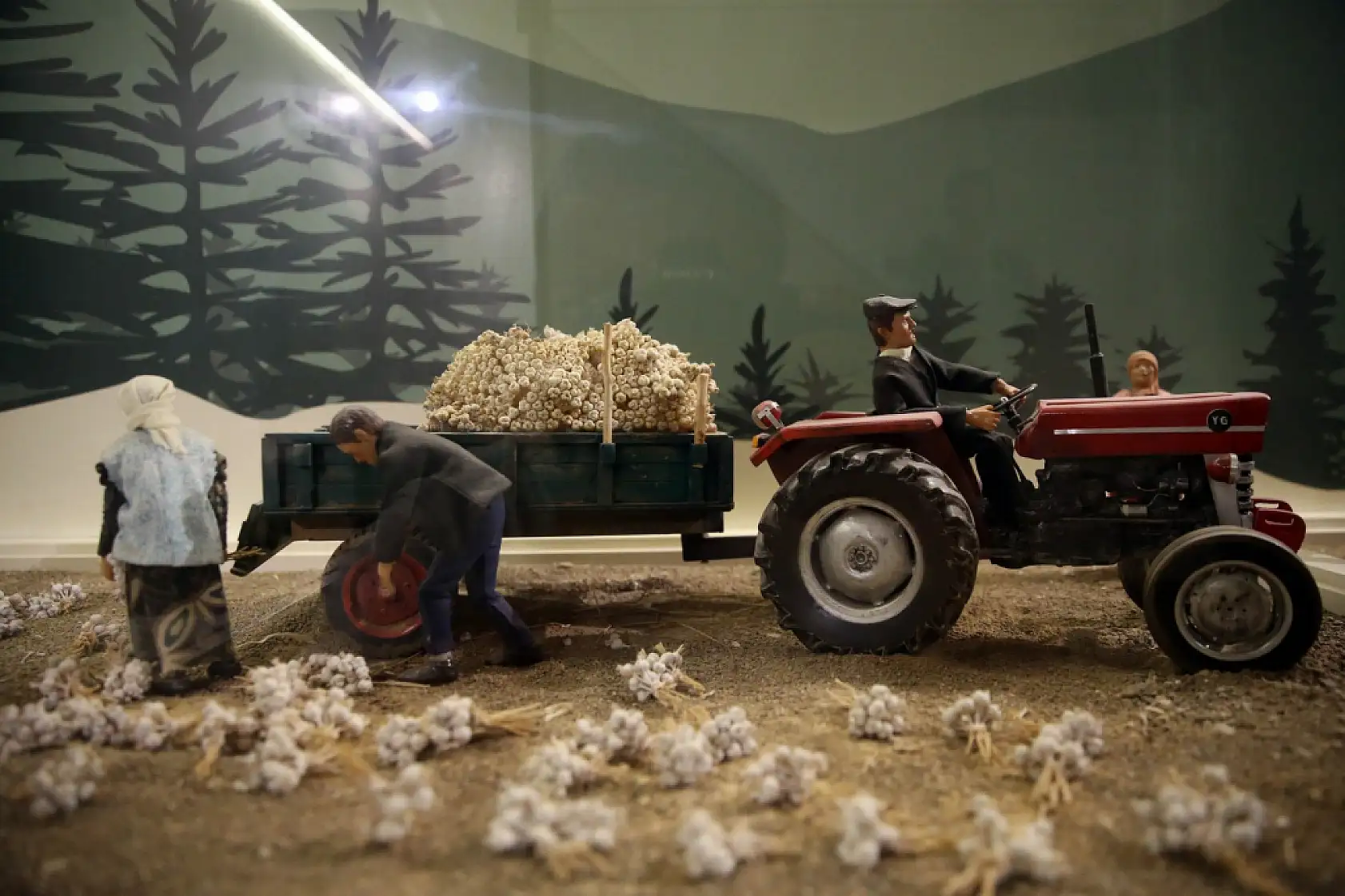 Sarımsak serüveni anlatılıyor