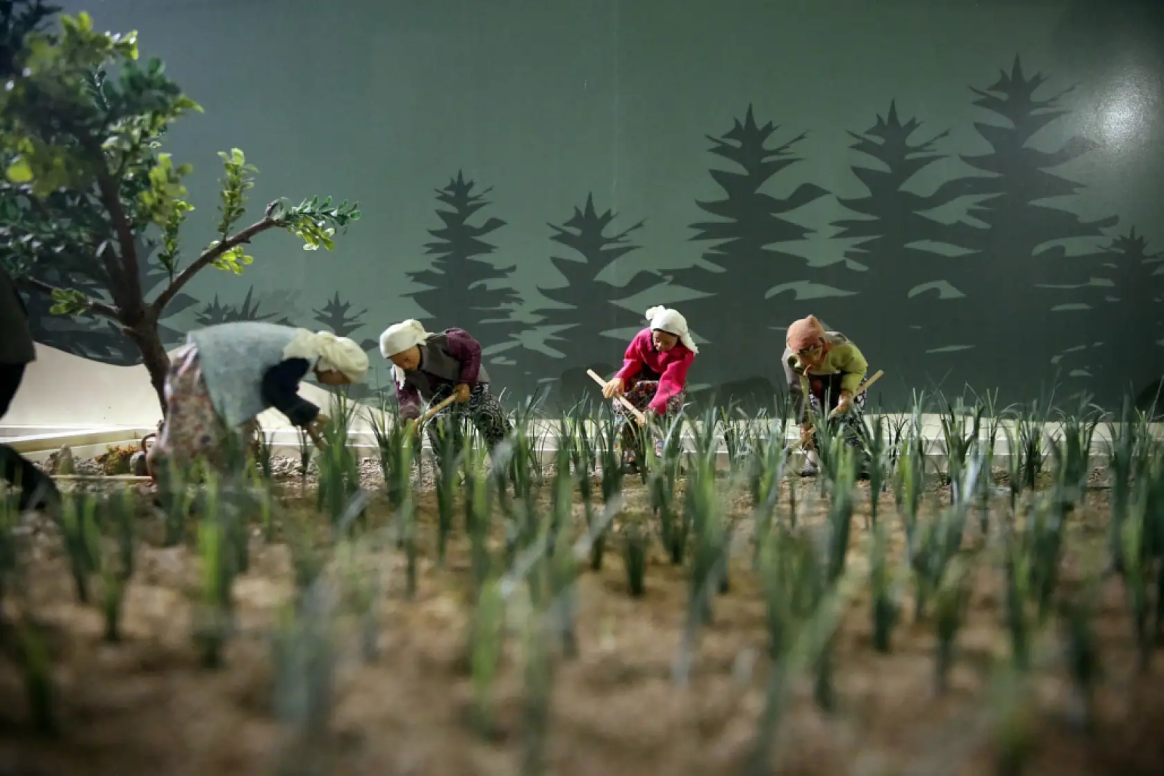 Sarımsak serüveni anlatılıyor