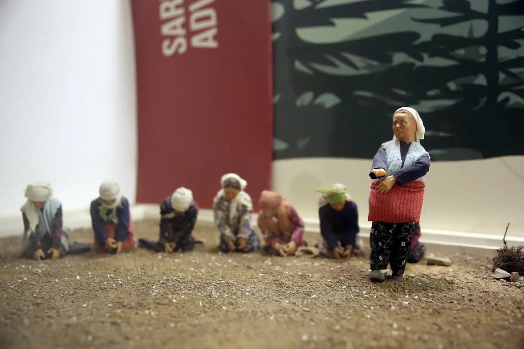 Sarımsak serüveni anlatılıyor