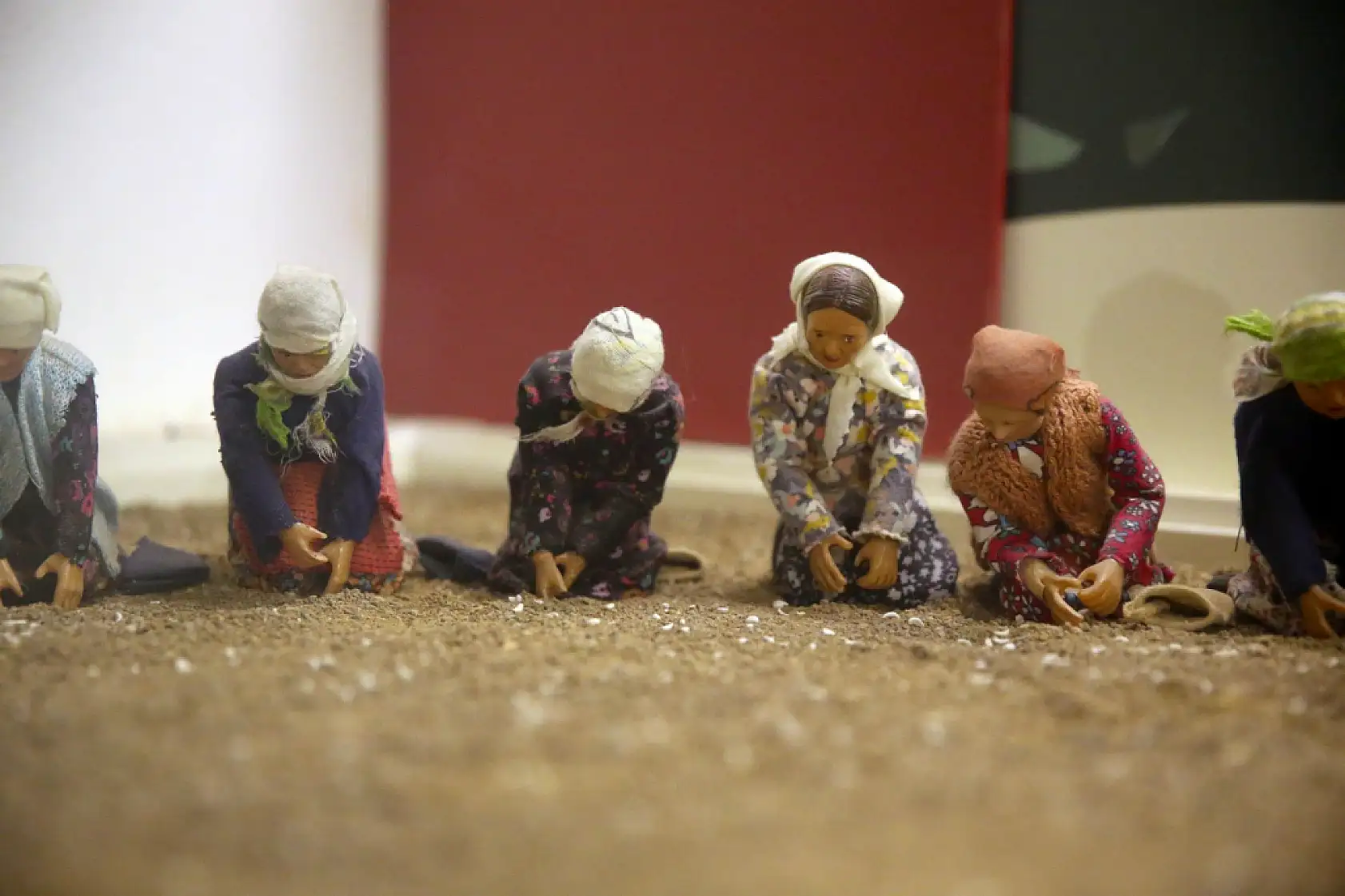 Sarımsak serüveni anlatılıyor