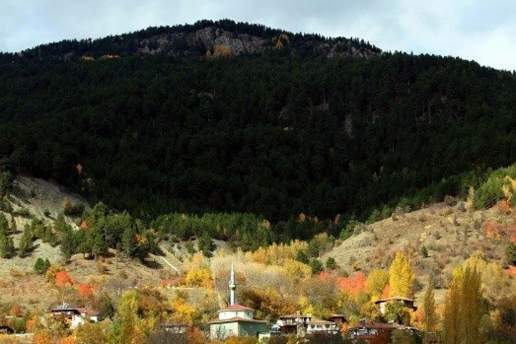 Anadolu'nun &quotYüce Dağı" Ilgaz rengarenk