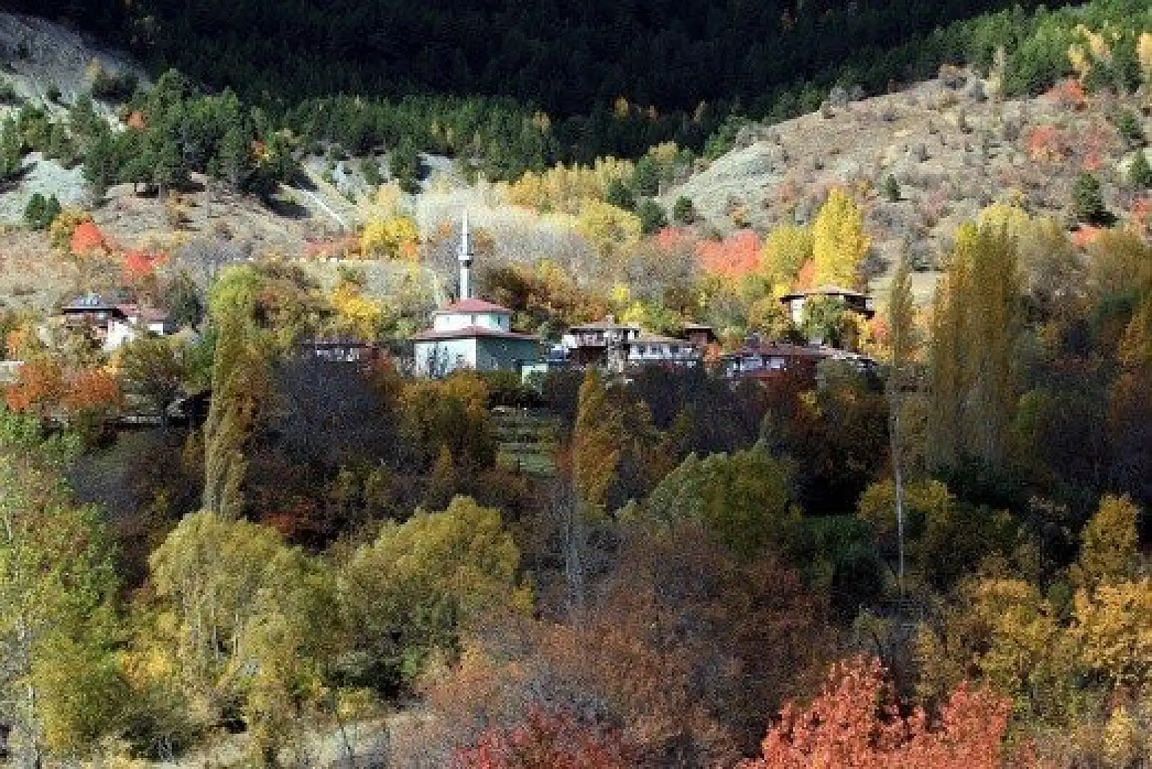 Anadolu'nun &quotYüce Dağı" Ilgaz rengarenk