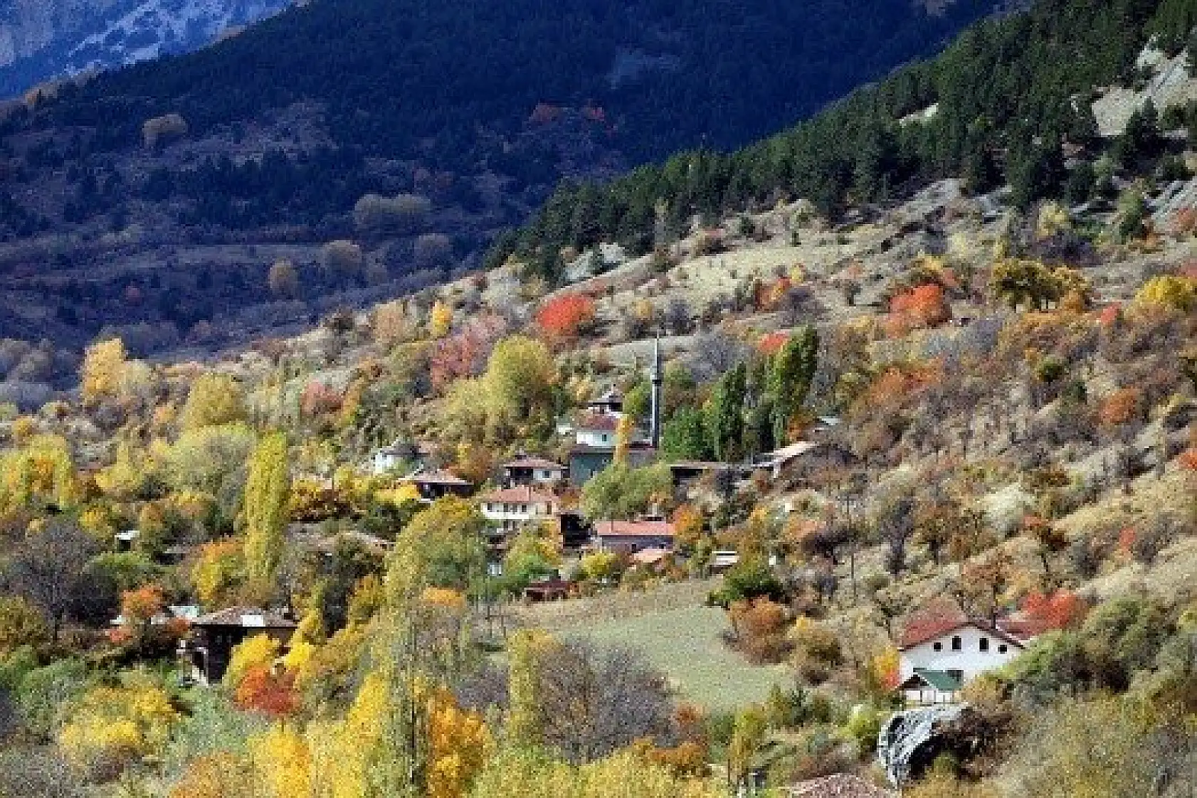 Anadolu'nun &quotYüce Dağı" Ilgaz rengarenk