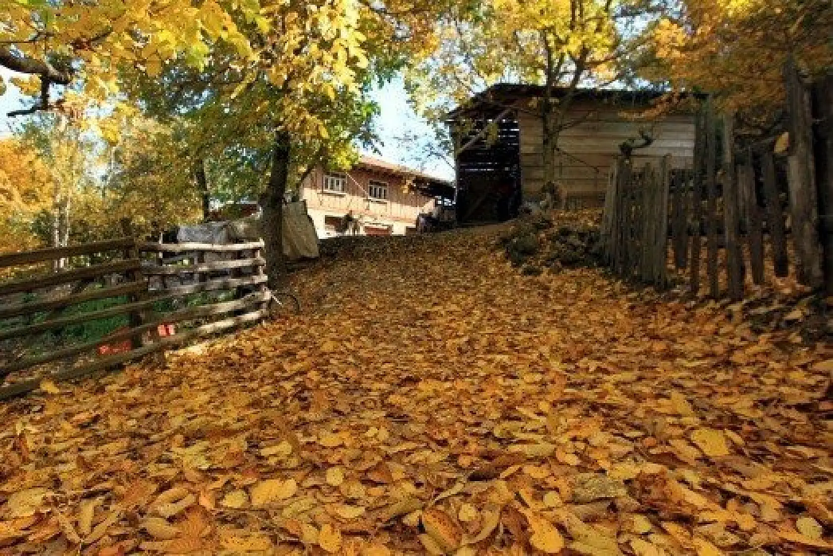 Anadolu'nun &quotYüce Dağı" Ilgaz rengarenk