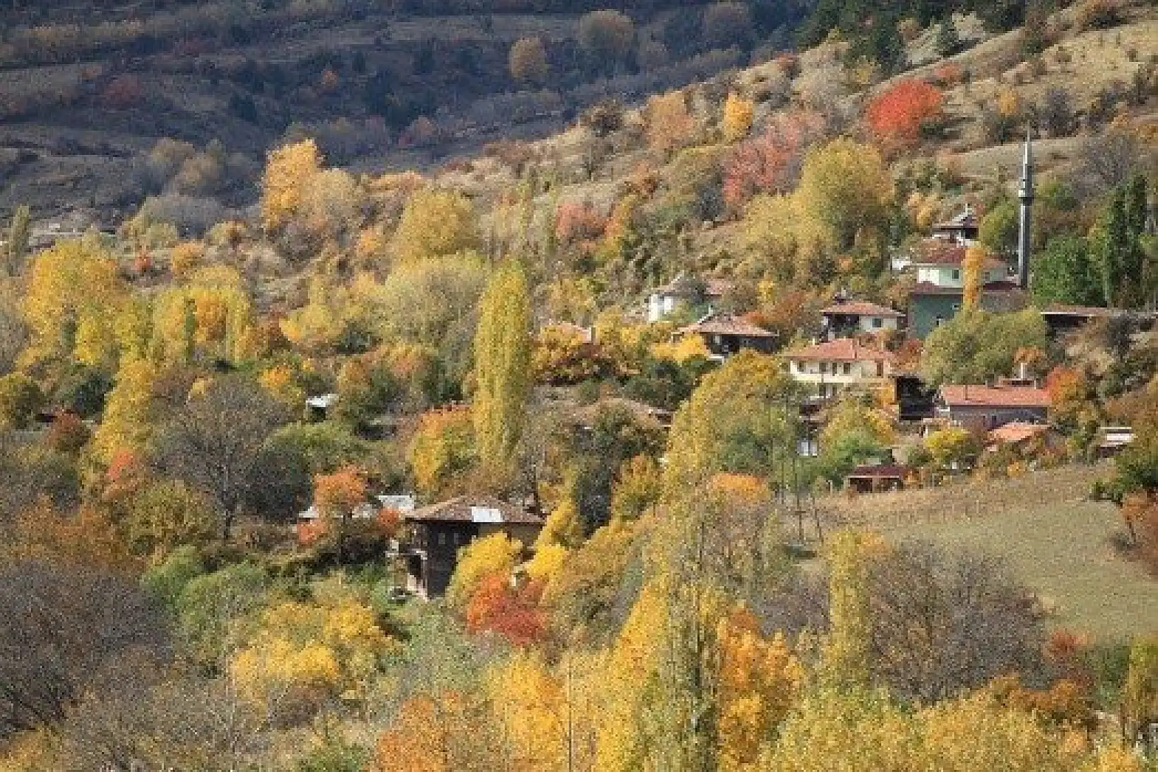 Anadolu'nun &quotYüce Dağı" Ilgaz rengarenk
