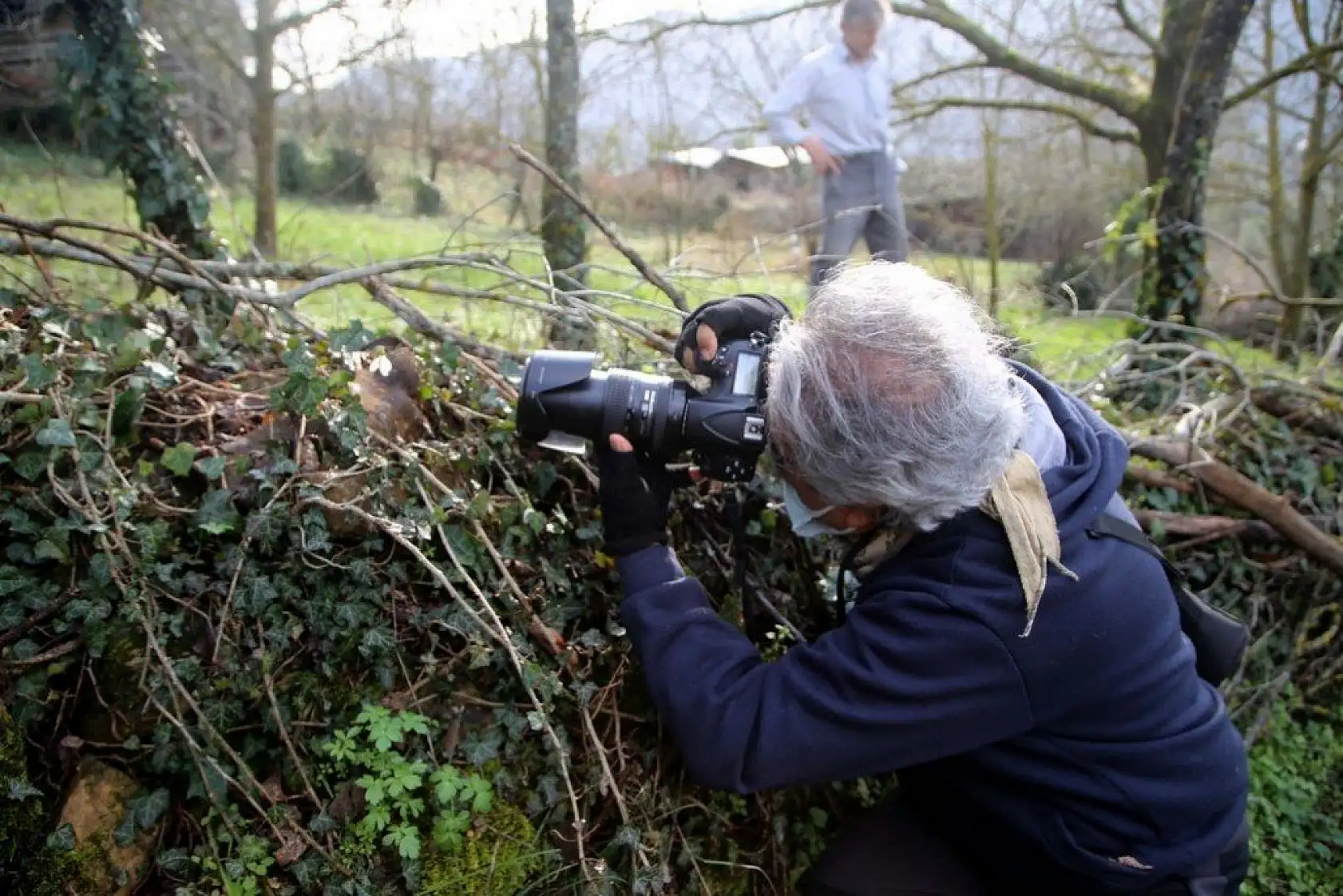 Küre Dağları'nda kardelenler karsız açtı