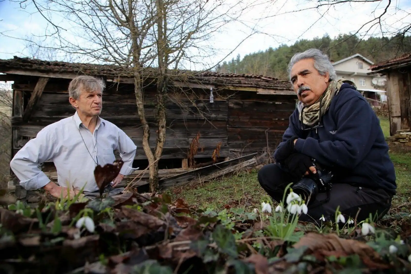 Küre Dağları'nda kardelenler karsız açtı