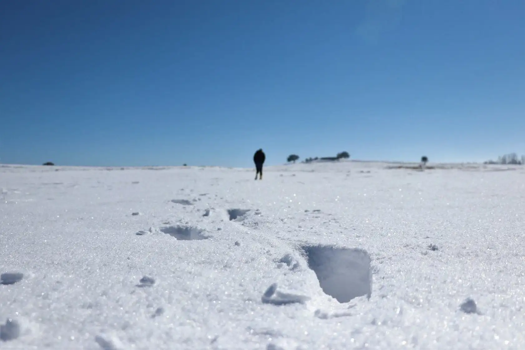 Karla kaplı Küre Dağları görsel şölen sunuyor