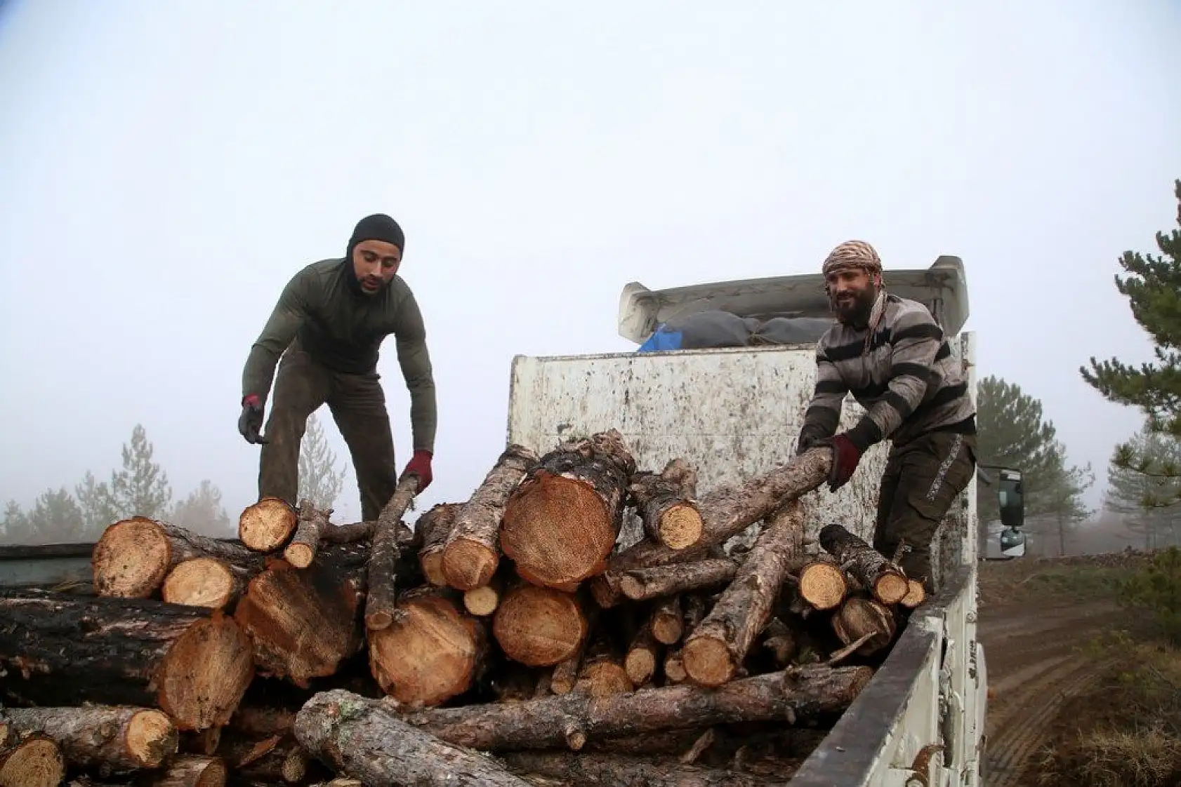 Yanan alanlara yeniden 'can vermek' için çalışıyorlar