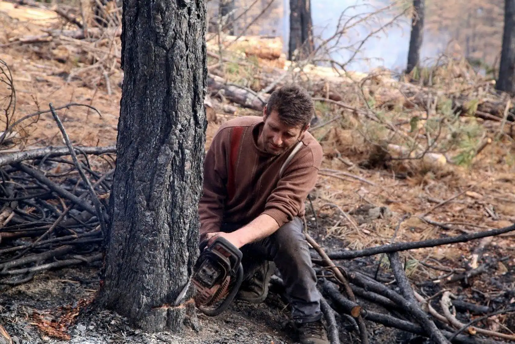 Yanan alanlara yeniden 'can vermek' için çalışıyorlar