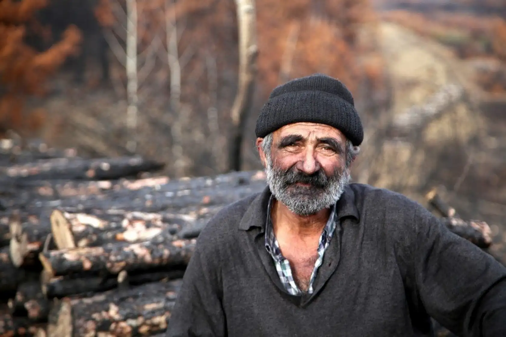 Yanan alanlara yeniden 'can vermek' için çalışıyorlar