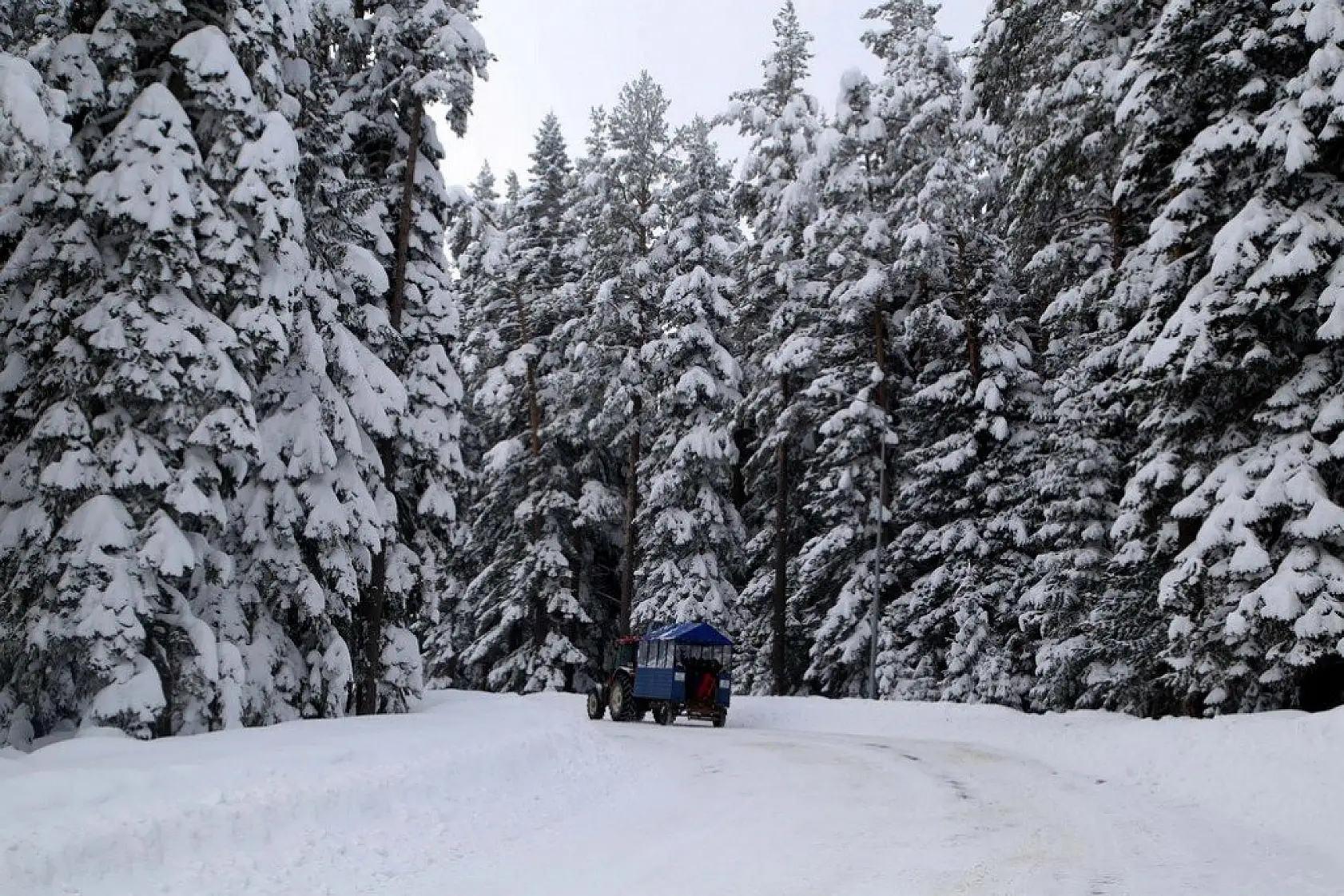 'Anadolu'nun yüce dağı' Ilgaz beyaz örtüsüyle büyülüyor