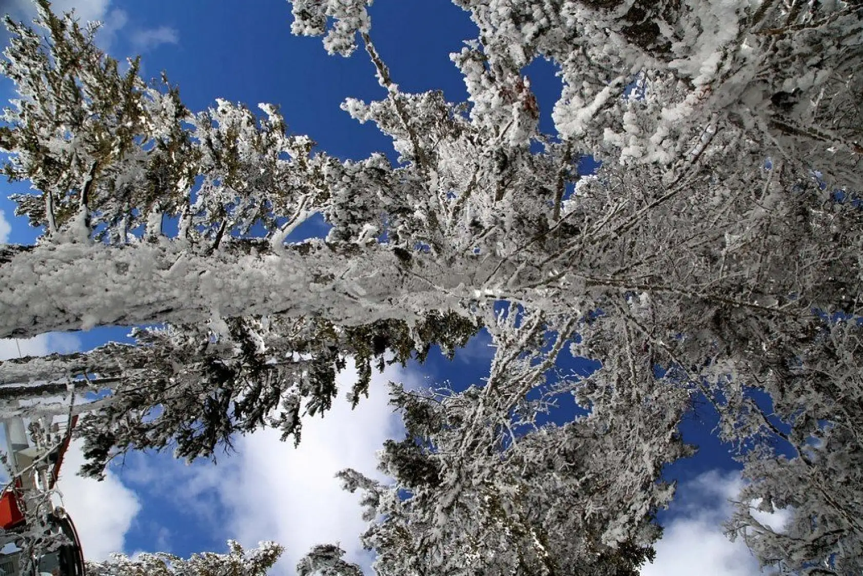 'Anadolu'nun yüce dağı' Ilgaz beyaz örtüsüyle büyülüyor