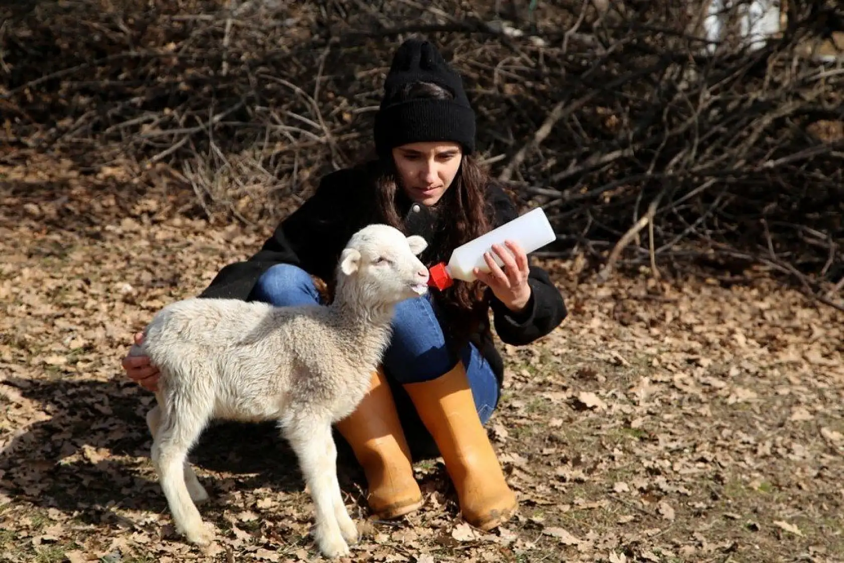 Uzaktan eğitim sürecinde köyünde koyun otlatıyor