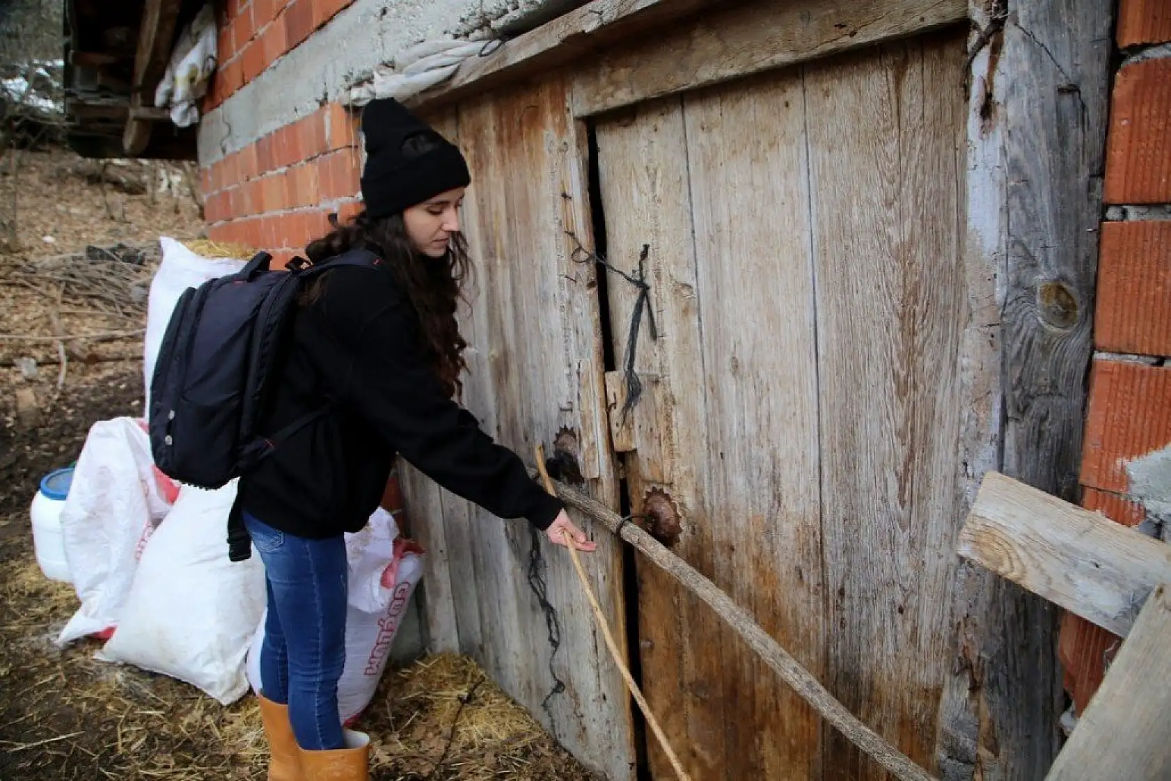 Uzaktan eğitim sürecinde köyünde koyun otlatıyor