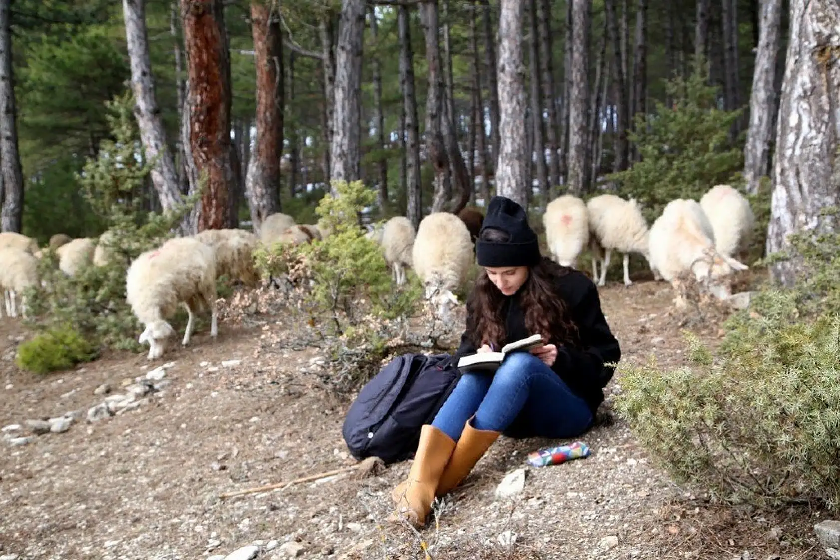 Uzaktan eğitim sürecinde köyünde koyun otlatıyor