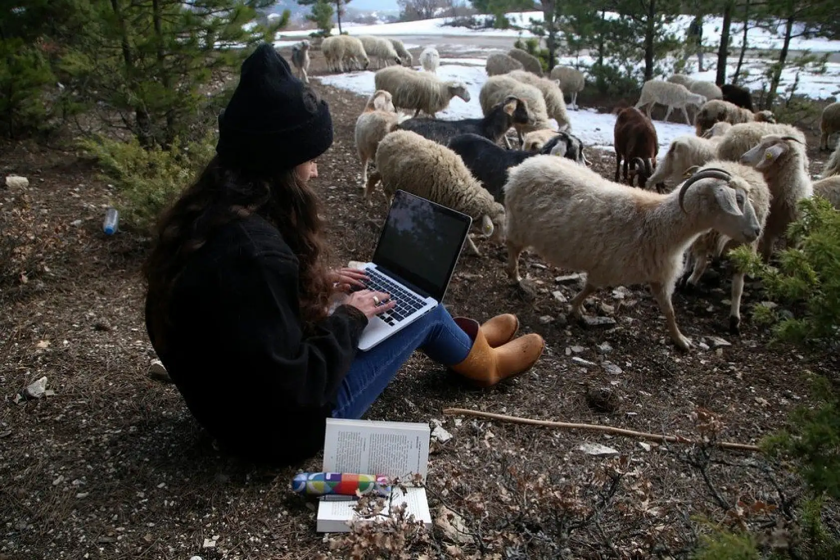 Uzaktan eğitim sürecinde köyünde koyun otlatıyor