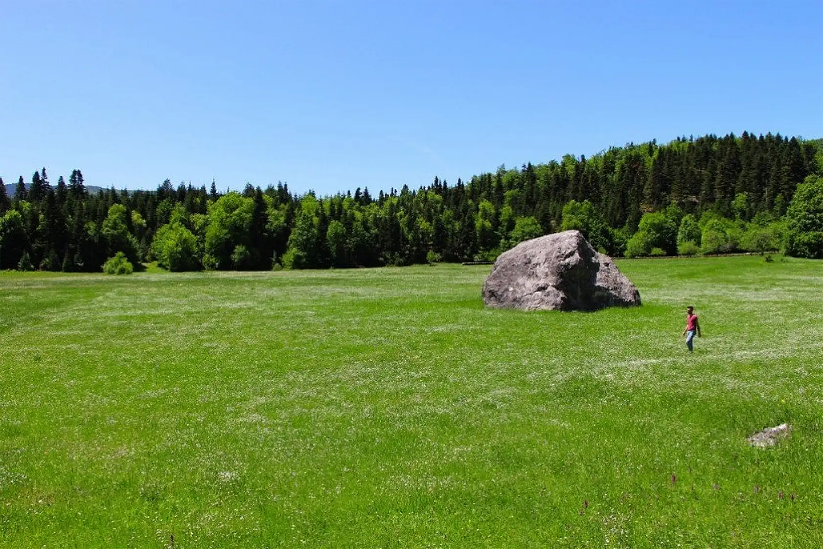 Küre Dağları yeşilin farklı tonlarıyla görsel şölen sunuyor