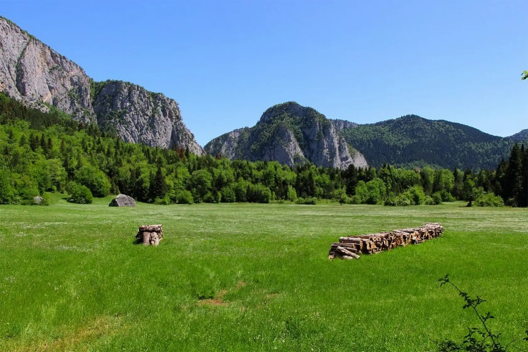 Küre Dağları yeşilin farklı tonlarıyla görsel şölen sunuyor