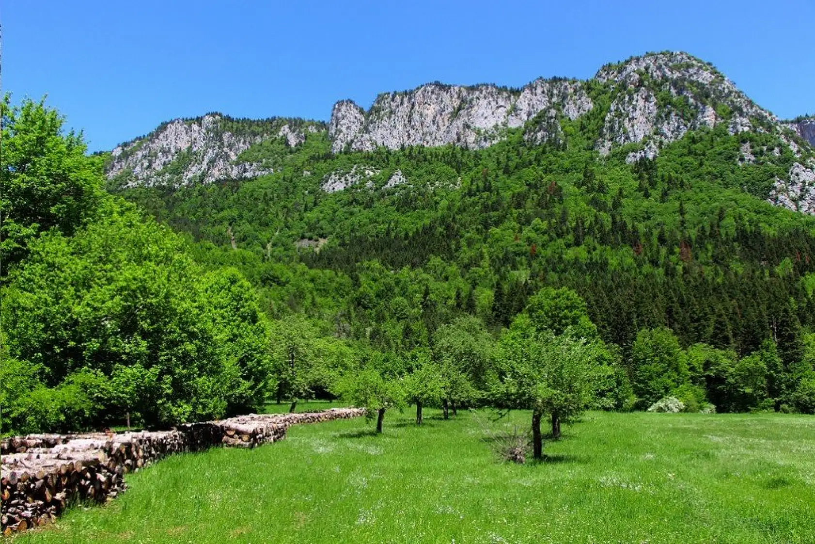 Küre Dağları yeşilin farklı tonlarıyla görsel şölen sunuyor