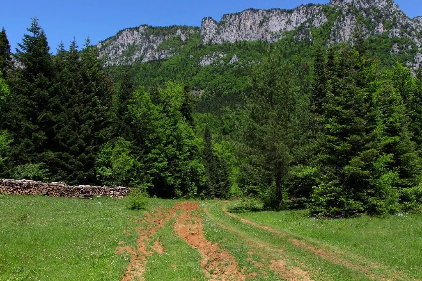 Küre Dağları yeşilin farklı tonlarıyla görsel şölen sunuyor
