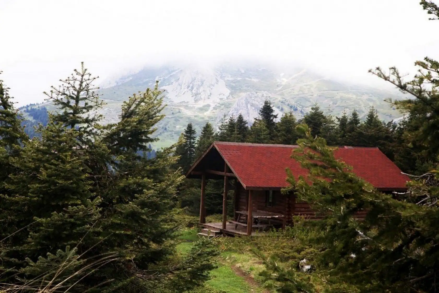 Ilgaz Dağı'nda sis görsel şölen sundu