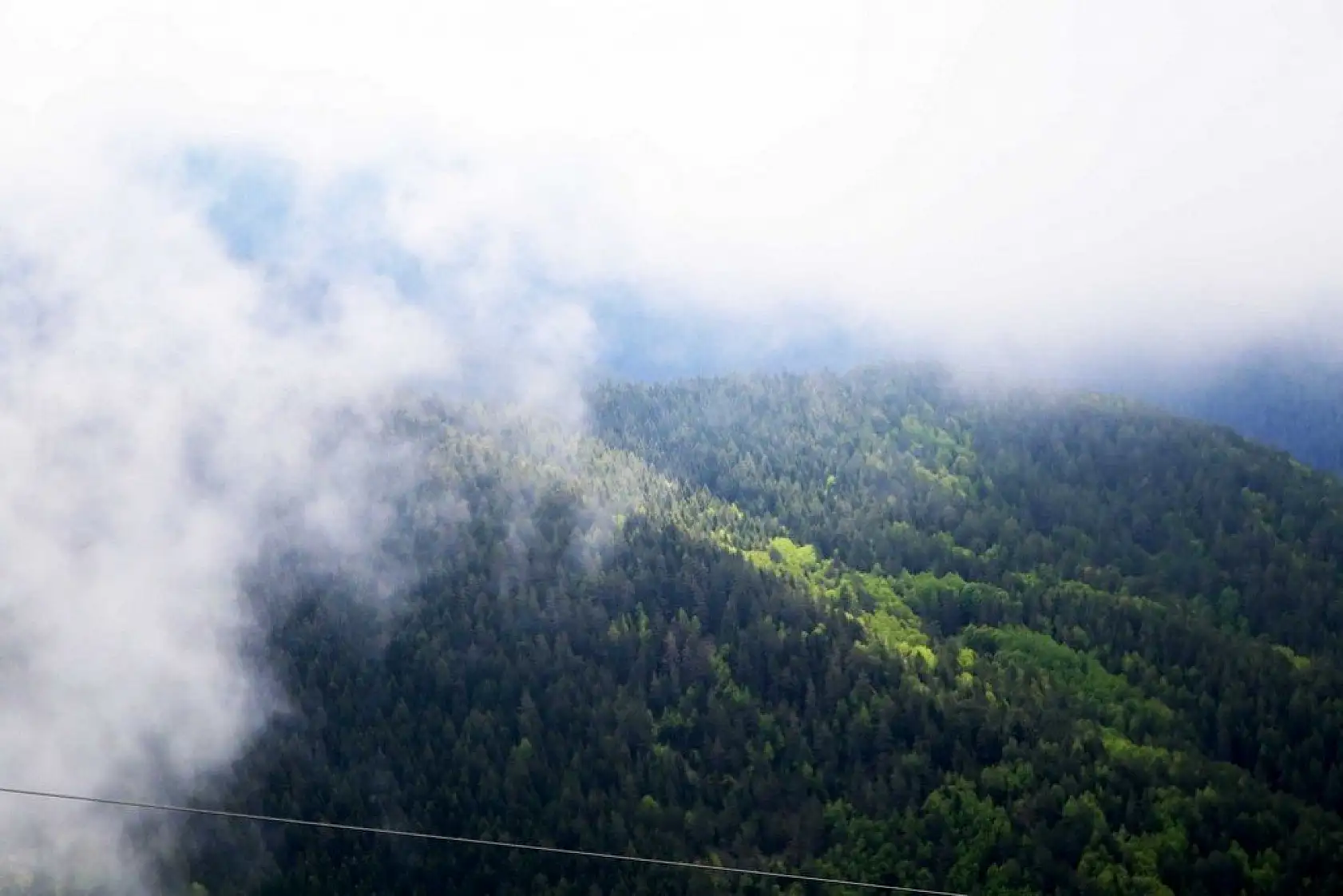 Ilgaz Dağı'nda sis görsel şölen sundu