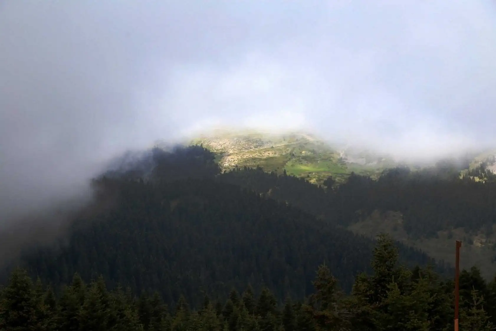 Ilgaz Dağı'nda sis görsel şölen sundu