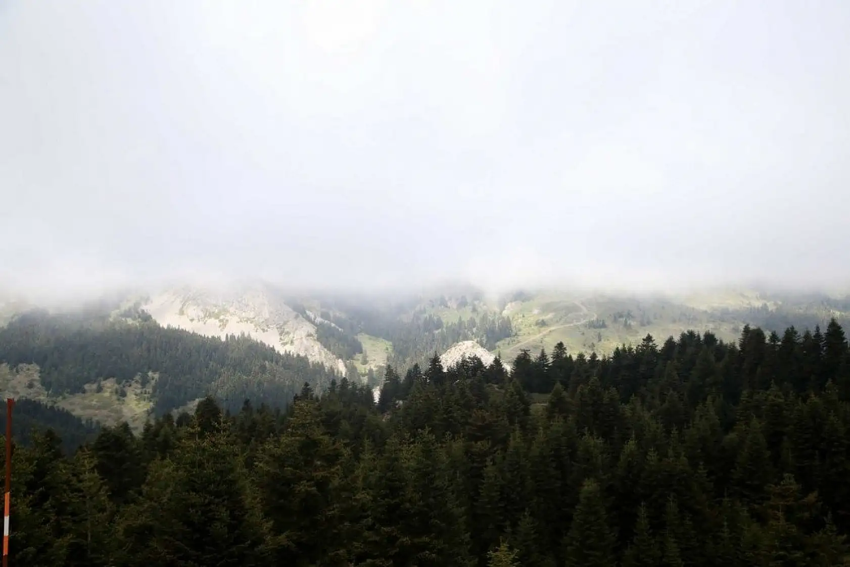 Ilgaz Dağı'nda sis görsel şölen sundu