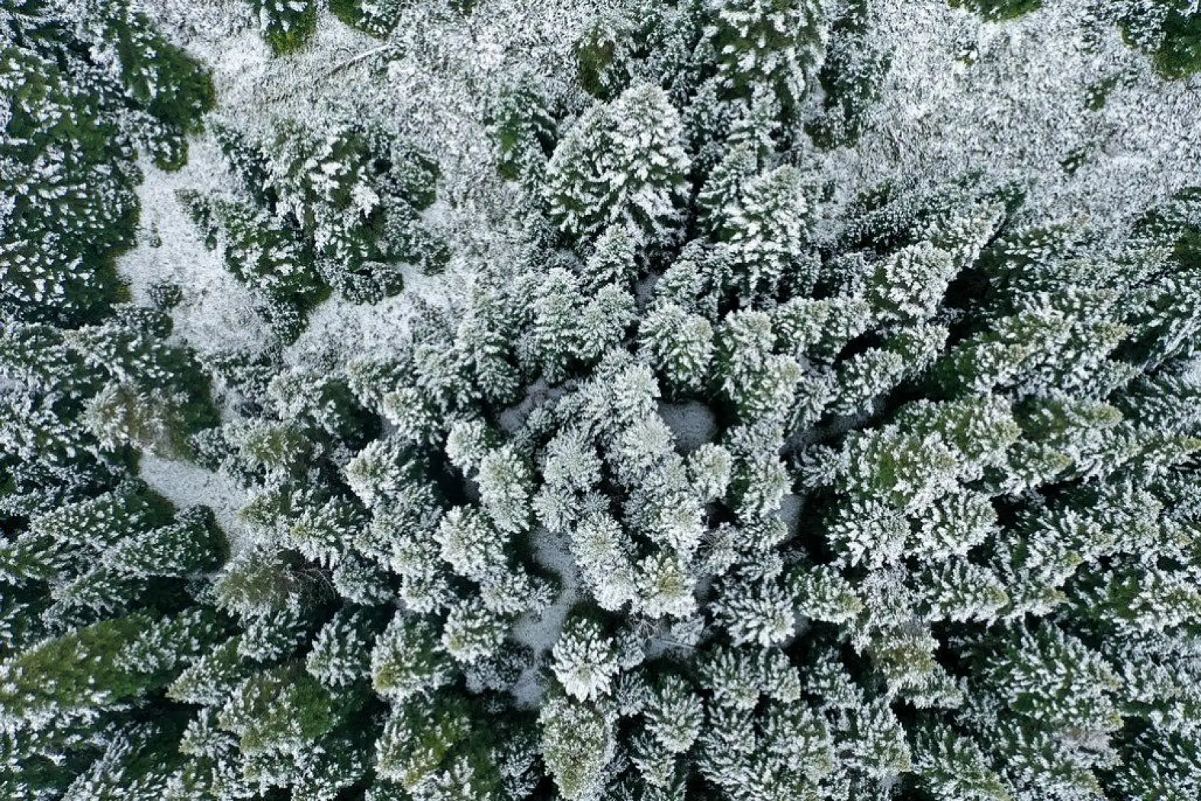 Ilgaz'da mevsimin ilk karı görsel şölen sunuyor
