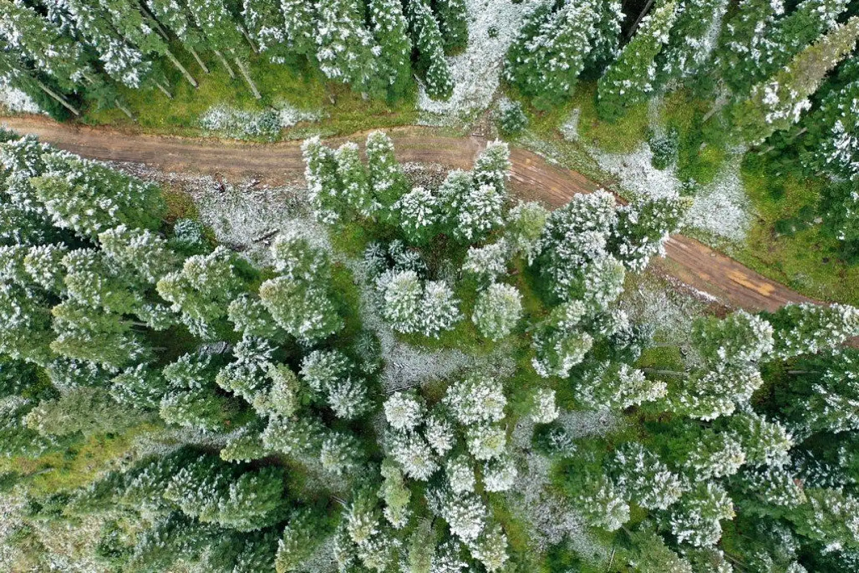 Ilgaz'da mevsimin ilk karı görsel şölen sunuyor