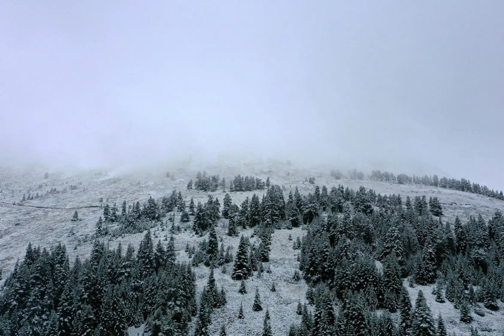 Ilgaz'da mevsimin ilk karı görsel şölen sunuyor