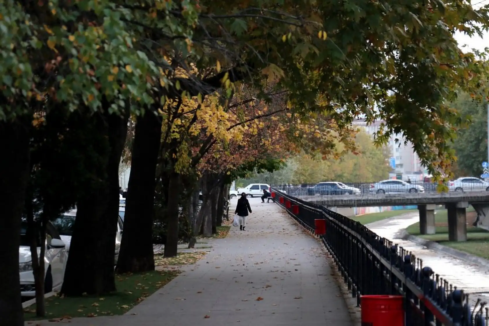 Şehir merkezinde sonbahar ayrı bir güzel