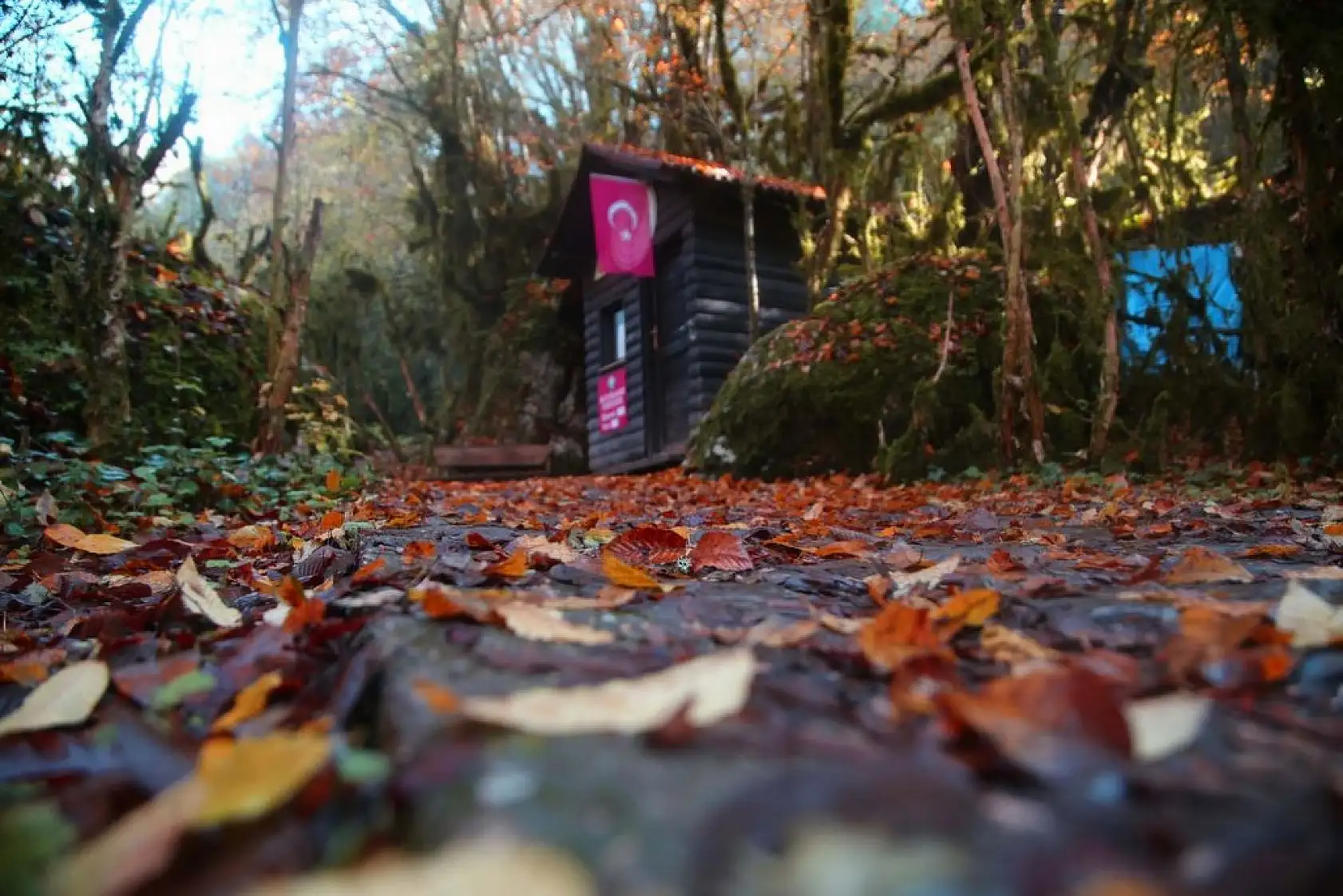 Horma Kanyonu ve Ilıca Şelalesi'nde sonbahar renkleri