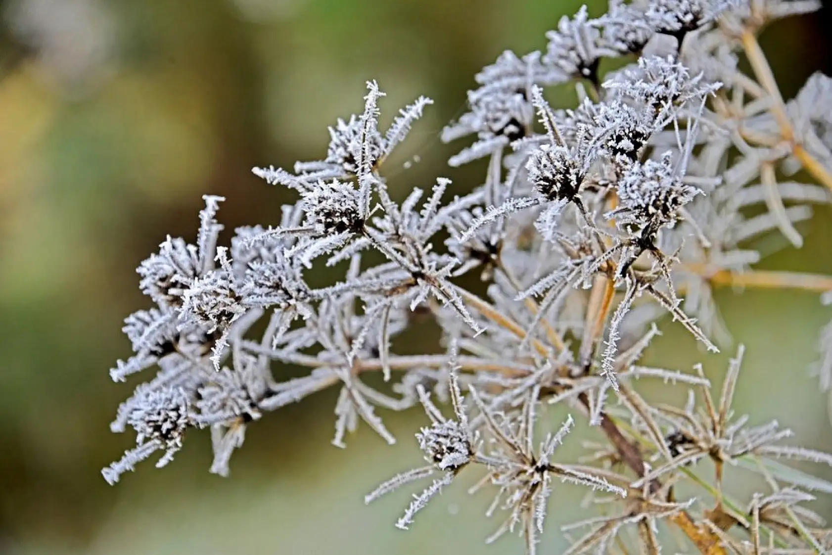 Sisle kaplanan Ilgaz Dağı havadan görüntülendi