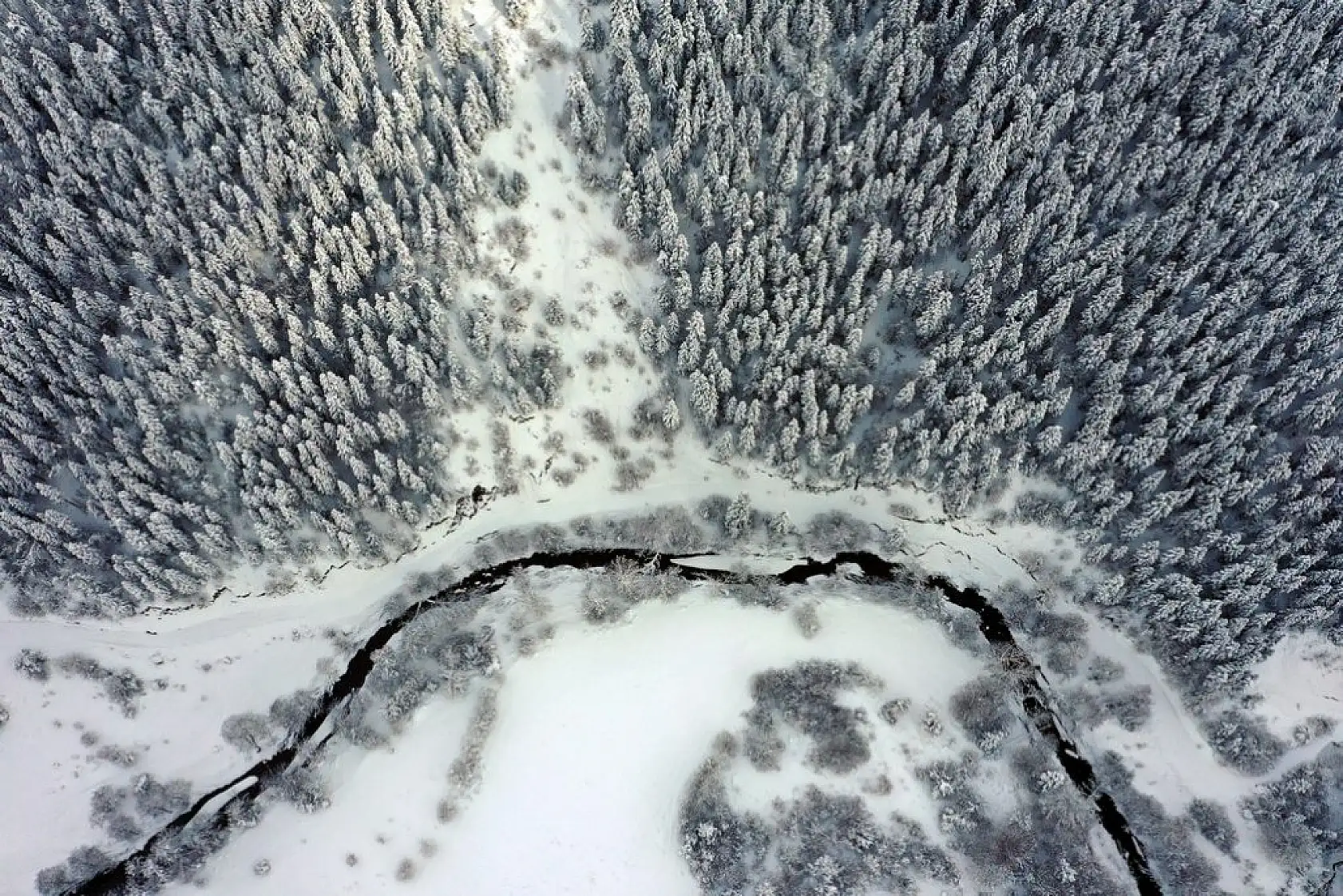 Çam ormanlarıyla çevrili Şenpazar ilçesi beyaza büründü