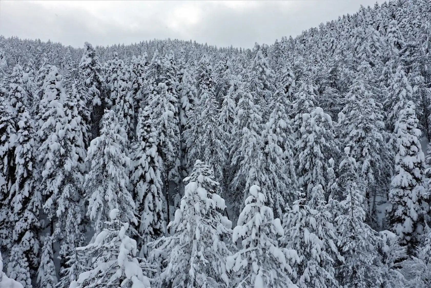 Çam ormanlarıyla çevrili Şenpazar ilçesi beyaza büründü