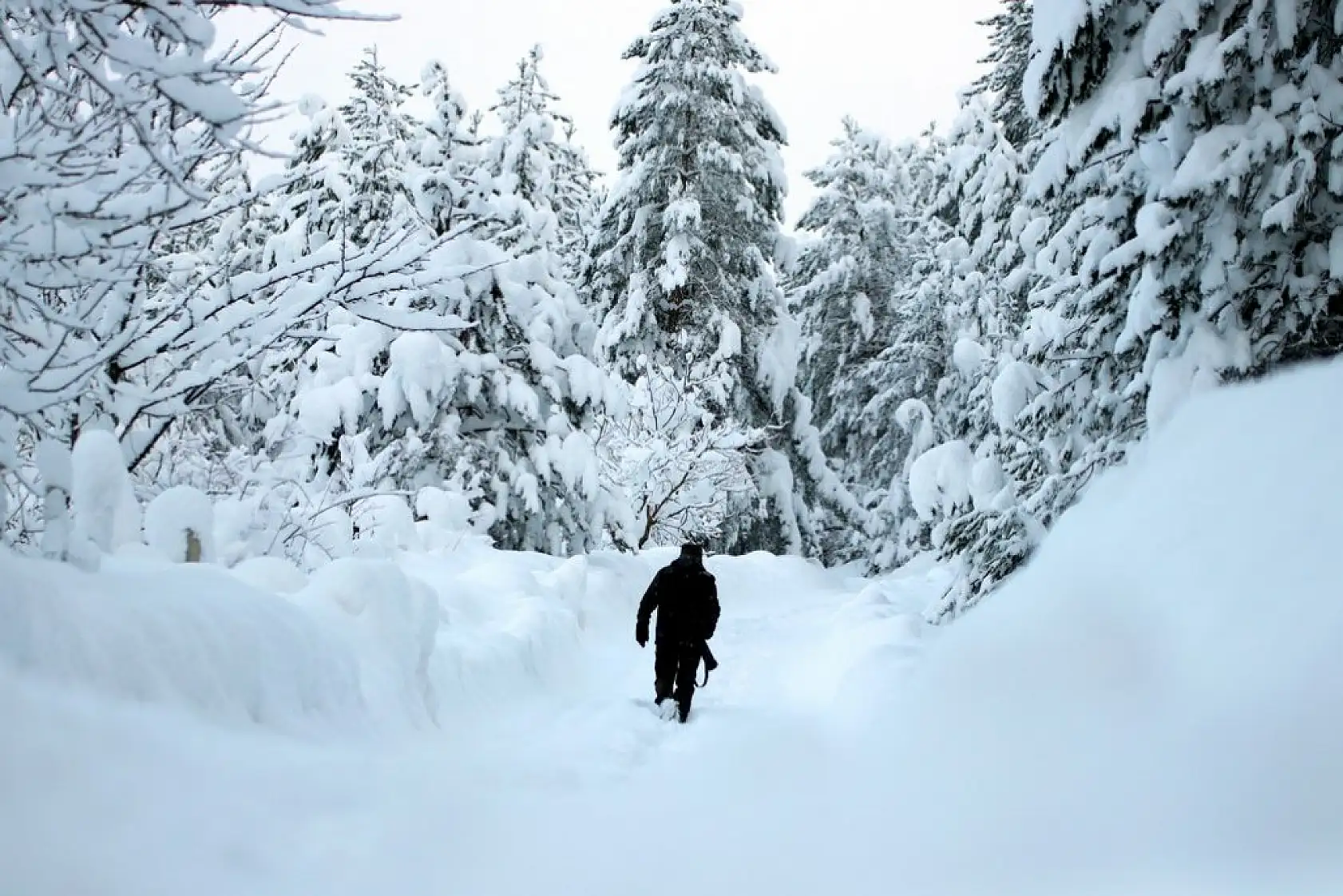 Çam ormanlarıyla çevrili Şenpazar ilçesi beyaza büründü