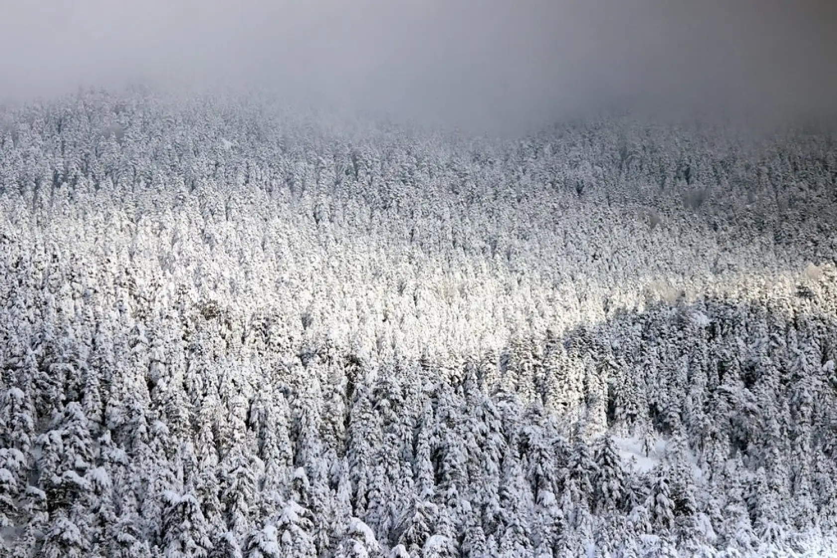 Kar kalınlığı 2 metreye yaklaştı! Araçlar karın altında kaldı