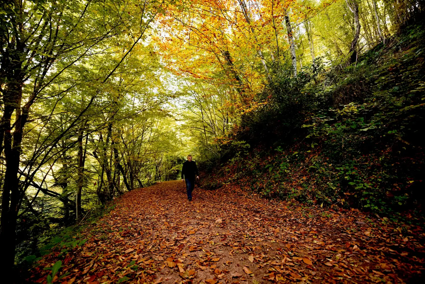 Loç Vadisinde sonbahar renkleri