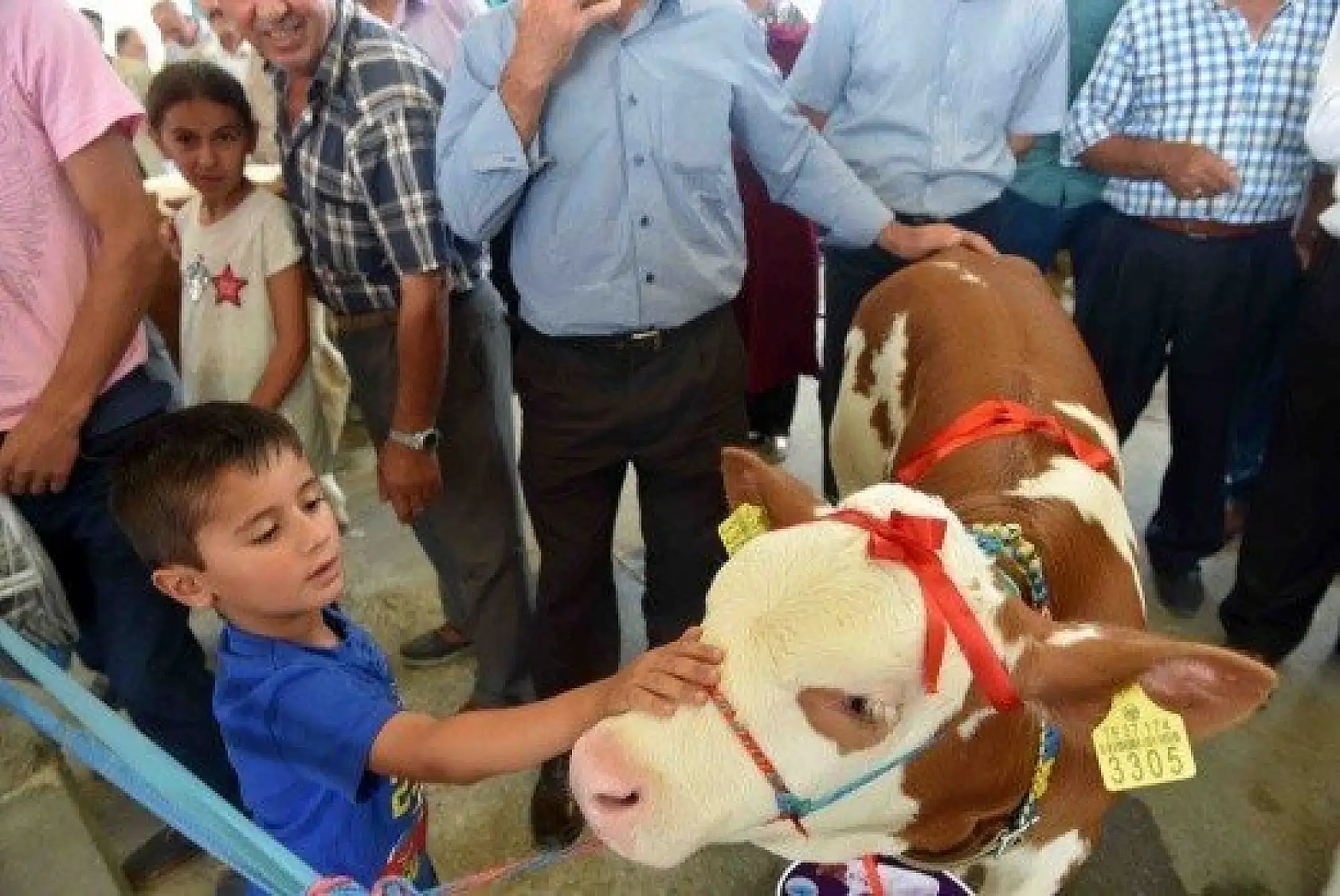 En İyi Sarımsak, Buzağı ve Kuzu Yarışmaları düzenlendi