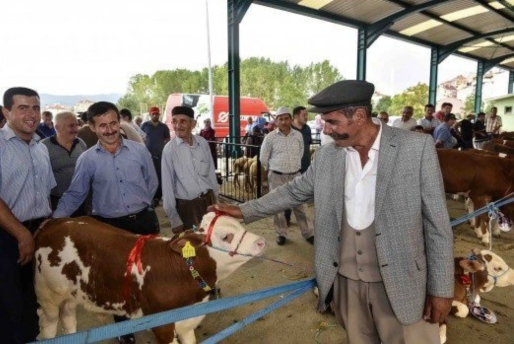 En İyi Sarımsak, Buzağı ve Kuzu Yarışmaları düzenlendi