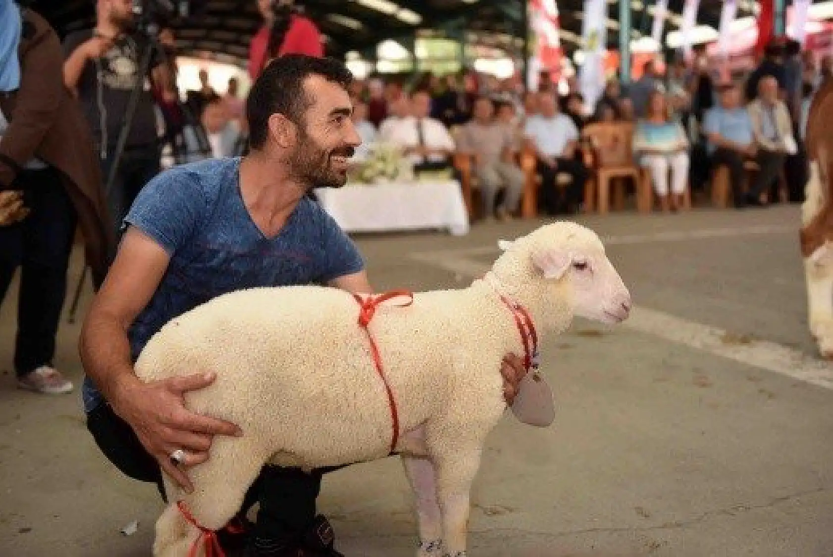 En İyi Sarımsak, Buzağı ve Kuzu Yarışmaları düzenlendi