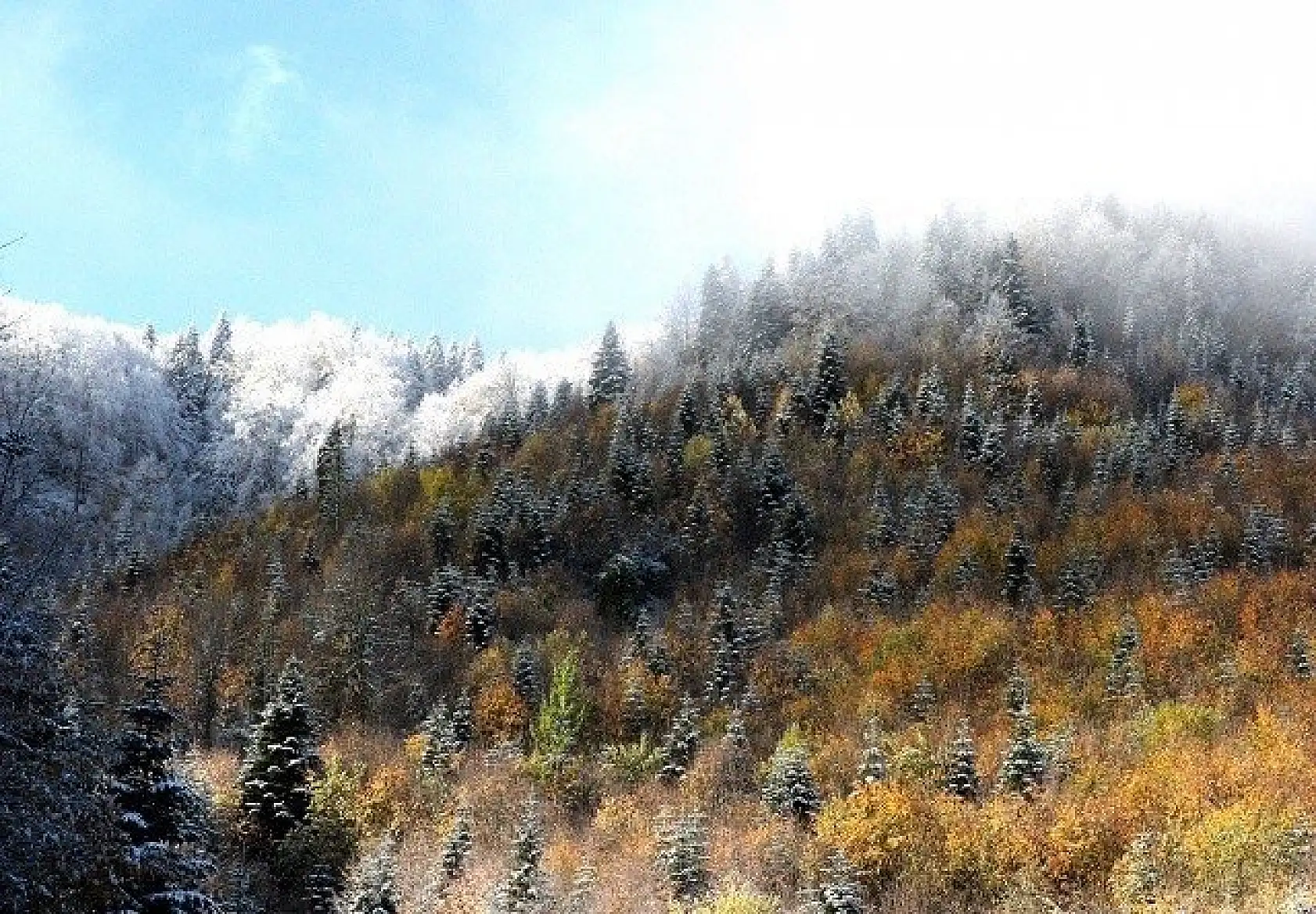 Kastamonu'da sonbaharın renk cümbüşü