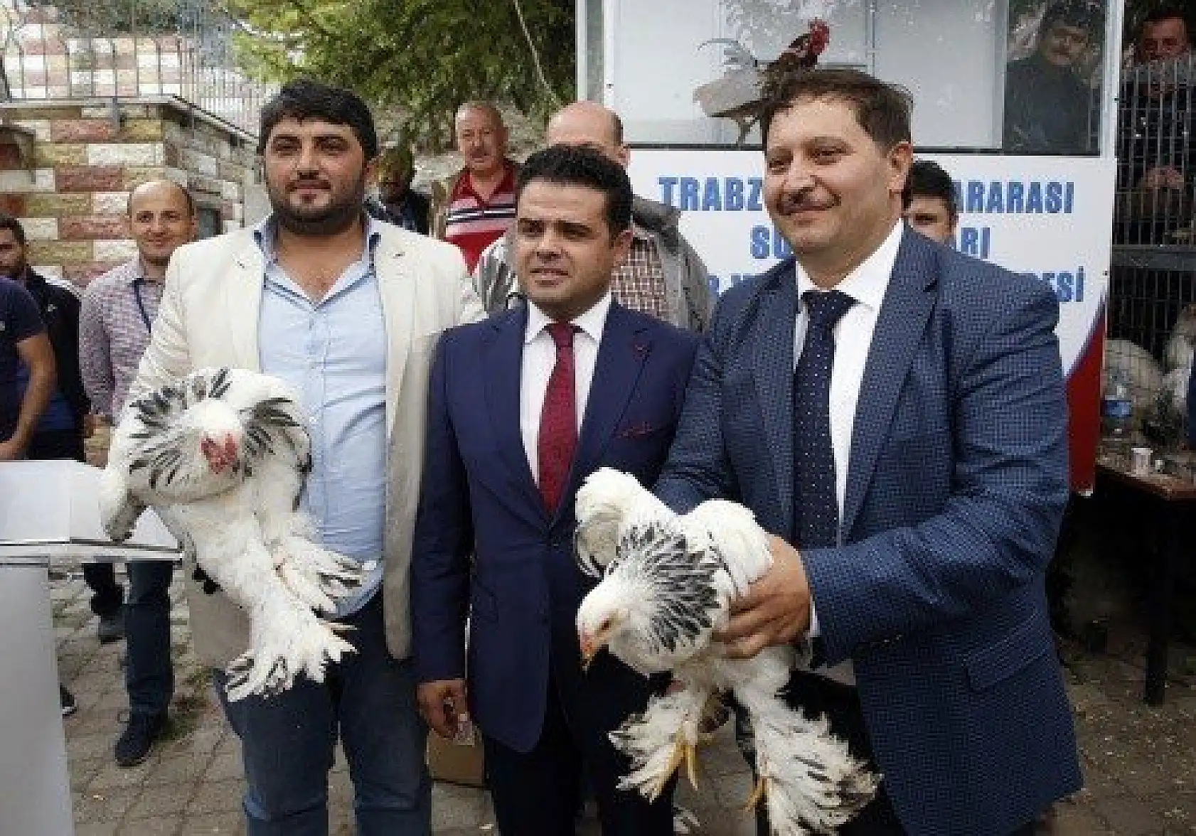 Horoz-tavuk çifti için müzayedede 30 bin 461 lira