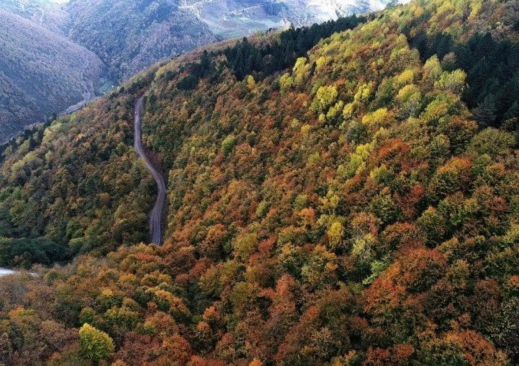 Kastamonu'da sonbahar renklerinin görsel şöleni